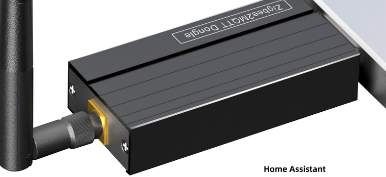 HNLC Home Assistant local gateway server with external antenna